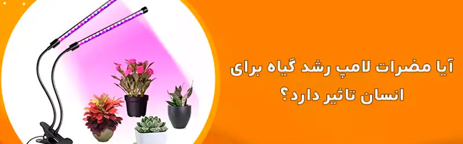 مضرات لامپ رشد گیاه برای انسان چیست؟