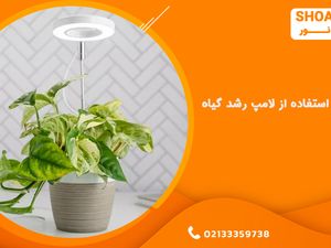 نحوه استفاده از لامپ رشد گیاه