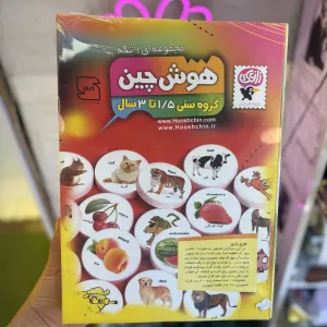 بازی فکری هوش چین ۱ تکه زاغک