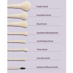 ست براش چشم و صورت شیگلم (SHEGLAM Makeup Brush Set)