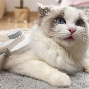 برس حیوانات خانگی یوپین شیائومی Youpin Janes Pet ‌Brush Self-Cleaning comb