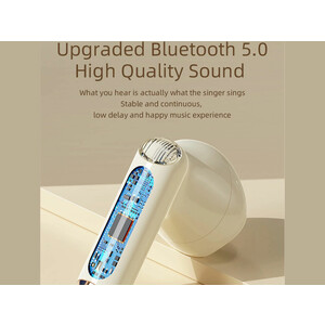 هندزفری بی سیم راک Rock Retro TWS Bluetooth Earbuds Classic Beetle