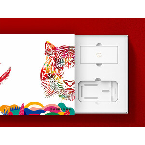 پک هدیه رسی Recci RGB-N11 big gift box