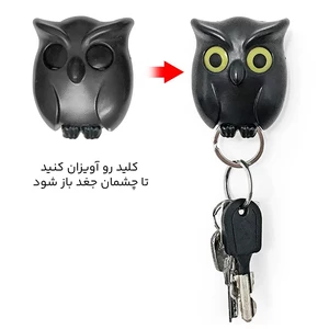خرید جاکلیدی فانتزی دیواری طرح جغد