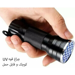 چراغ قوه مدل برای پیداکردن عقرب