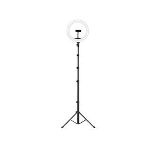 رینگ لایت سه پایه دار جویروم Joyroom JR-ZS228 10inch Ring Light