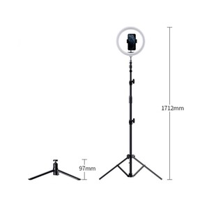 سه پایه رینگ لایت موبایل راک Rock RPH0947 Selfie Ring Light