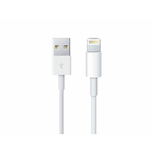 کابل اصلی لایتنینگ اپل Apple Lightning to USB Cable 0.5m