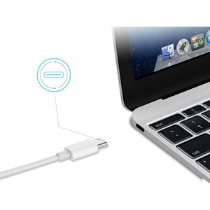 شارژر دیواری فست شارژ تایپ‌سی و یواس‌بی باوین BAVIN 18W Fast Charger Port Portable Wall Charger For Type-C Android Apple PC351Y