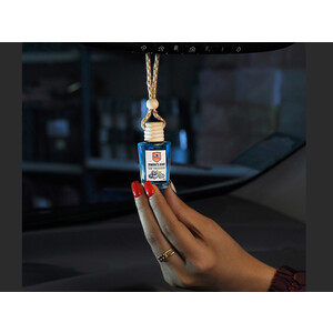 خوشبوکننده خودرو با رایحه بلوبری تام کلین Tom Klein car freshener with blueberry scent TC-FI10NBP