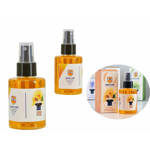 اسپری خوشبو کننده خودرو 110 میلی لیتری هلو تام کلین Tom Klein car air freshener spray TC-FL110NPS