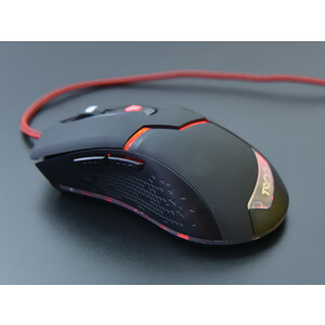 TSCO Dragon TM 754 GA Mouse