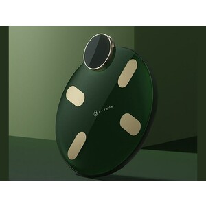 دقت ترازوی هوشمند هایلو  HAYLOU Smart Body Fat Scale Bluetooth CM01