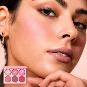 رژگونه کاربردی شیگلم