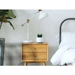 حشره کش طرح کاکتوس Sothing Cactus Mosquito Killer
