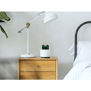 حشره کش طرح کاکتوس Sothing Cactus Mosquito Killer
