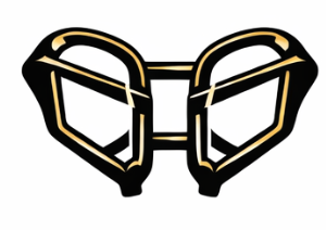 گارد و محافظ