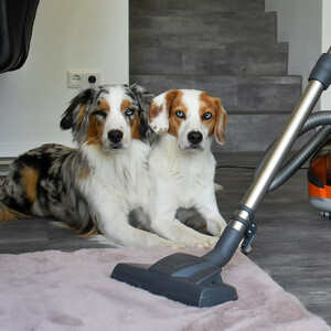 جاروبرقی مخزن‌دار  توماس مدل 788569