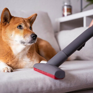 جاروبرقی مخزن‌دار  توماس مدل 788569