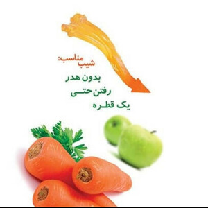 آبمیوه گیری فلر مدل PJ620