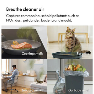 دستگاه تصفیه کننده هوا خانگی ۳ مرحله ای دایسون مدل Cool air PC2 De-NOx TP12