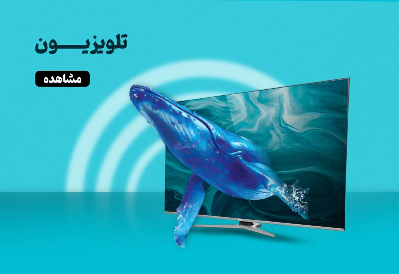 تلوزیون