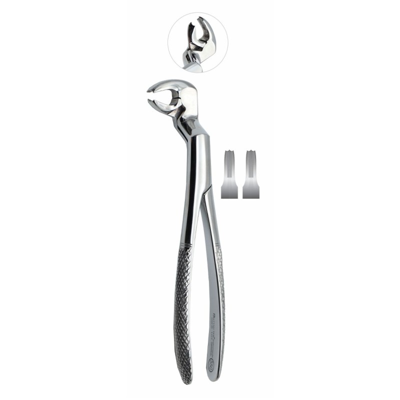 فورسپس مولر پایین راست فتاح طب