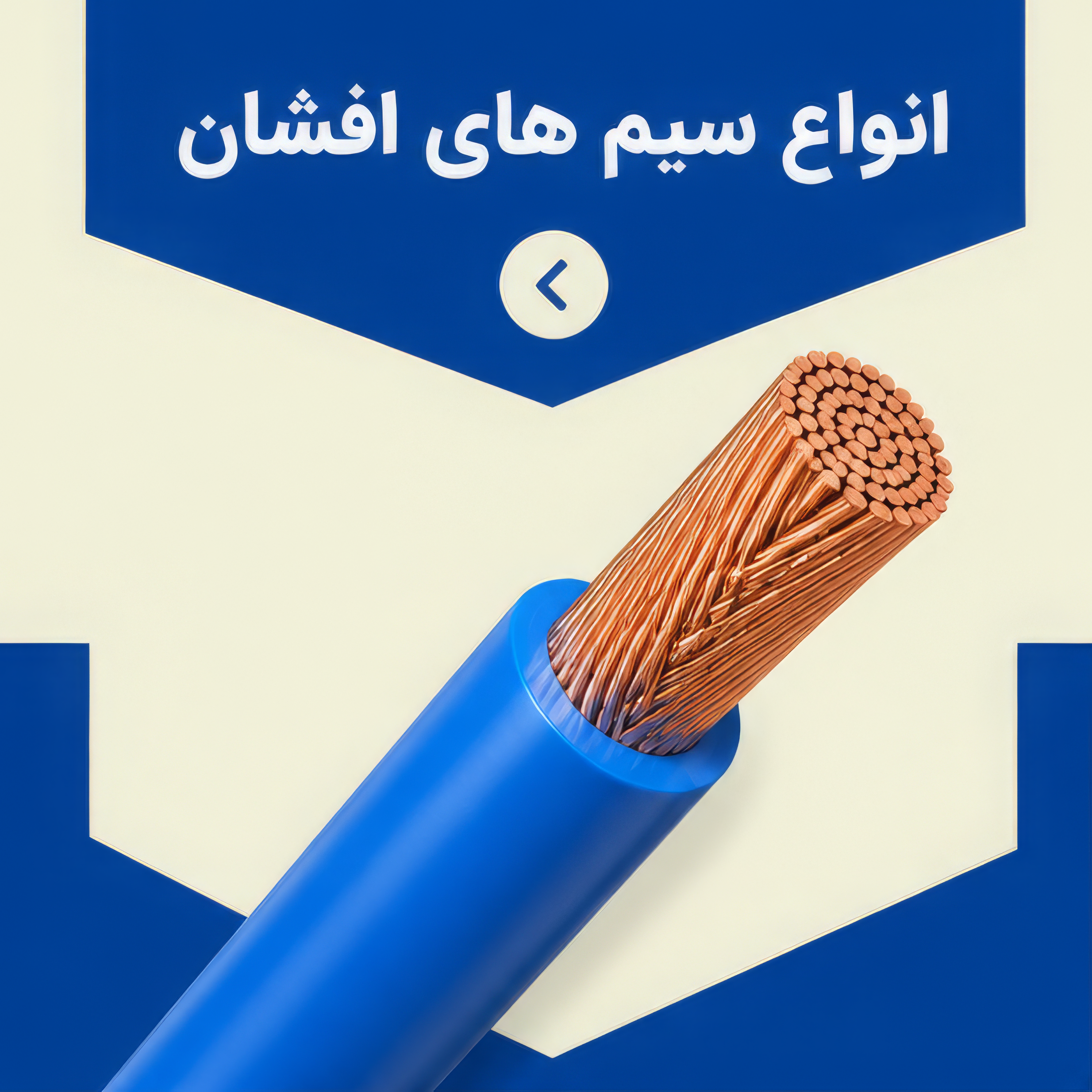 تست