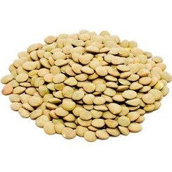 عدس روسی فله ای در بسته بندی 25 کیلوگرمی