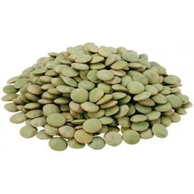 عدس کانادایی ساسکن فله ای در بسته بندی 45 کیلوگرمی