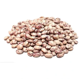 لوبیا چیتی فله ای در بسته بندی 25 کیلوگرمی