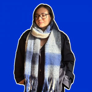 بیگ اسکارف چهارخانه مدل Big Scarf/Ocean