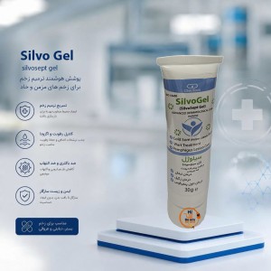 سیلوژل کیتوتک