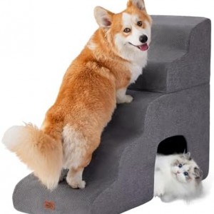 چرا پله و رمپ برای حیوانات خانگی ضروری است؟ راهی ساده برای جلوگیری از آسیب مفاصل