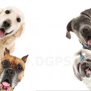 فرصت‌های ویژه | محصولات تک‌ با تخفیف استثنایی