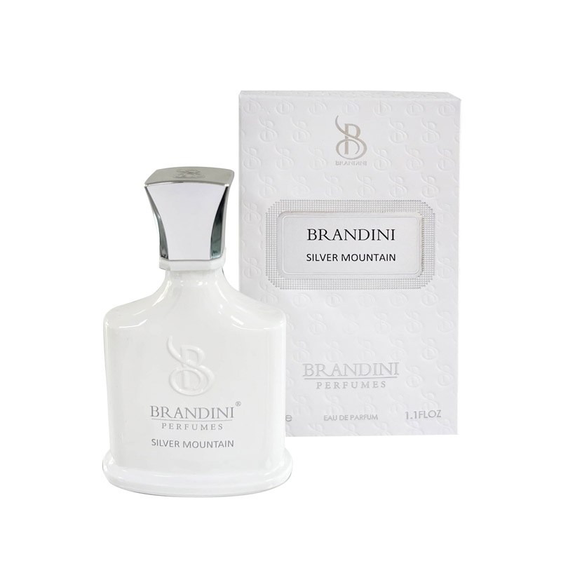 عطر ادکلن زنانه و مردانه  برندینی مدل  Silver Mountain