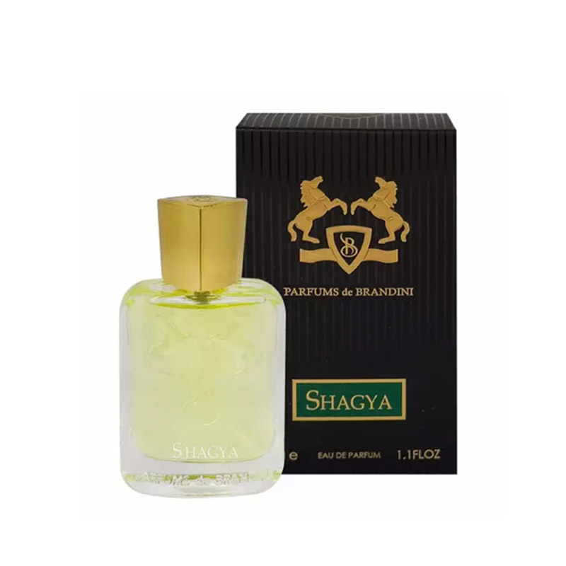 عطر ادکلن مردانه برندینی مدل Shagya