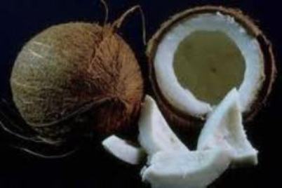 روغن نارگيل از پوسيدگی دندان پيشگيری می کند