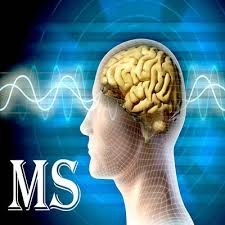 11 نکته برای دوری از ms