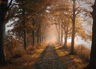 زيباترين و رويايی ترين جاده ها