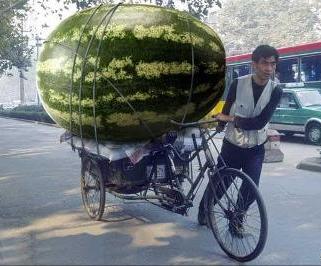 عجایب دنیا