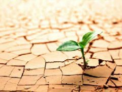 صبر؛ کلید دستیابی به موفقیت های بیشتر