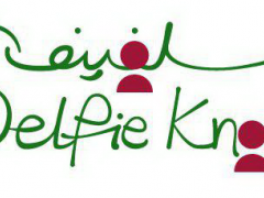 راه اندازی پنل سلفینو (مطلب)