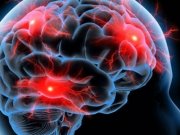 ويتامين ضد آلزايمر را بشناسيد