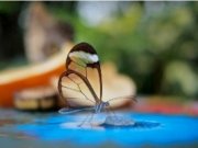 UNUSUAL AND AMAZING PICTURE