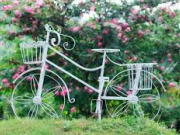 بهره‌وری بیشتـــر از زندگی