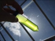 داروی سرطان از جلبک سبز دريايی