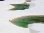 صحرای سفيد برزيل