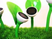 گلهای خورشيدی شارژ روزانه ونورافشانی شبانه