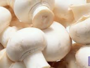 کمبود ویتامین D در زمستان را با خوردن قارچ برطرف کنید